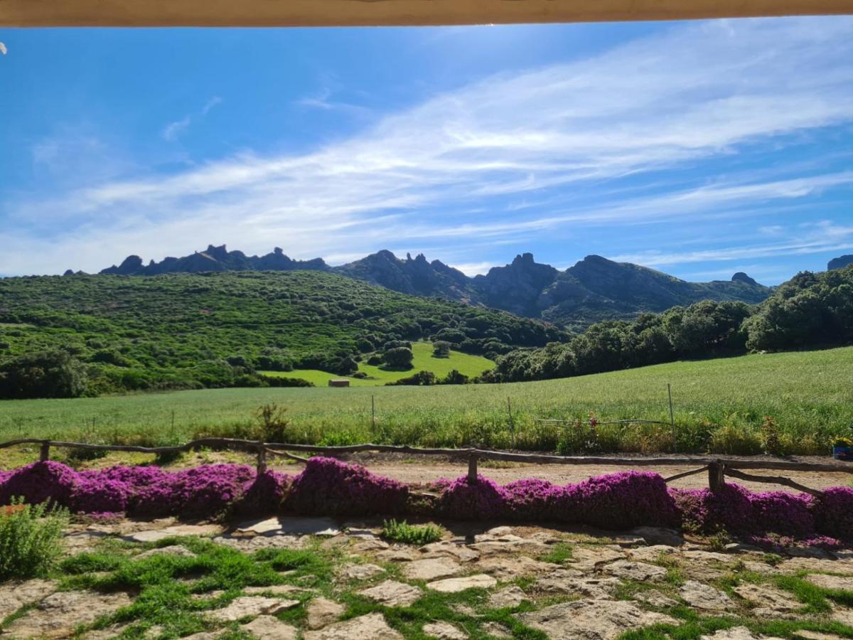 La Cresta Farm stay
